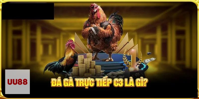 Đá Gà UU88 - Khái niệm cơ bản về chuyên mục đá gà trực tuyến Đá Gà UU88 - Khái niệm cơ bản về chuyên mục đá gà trực tuyến